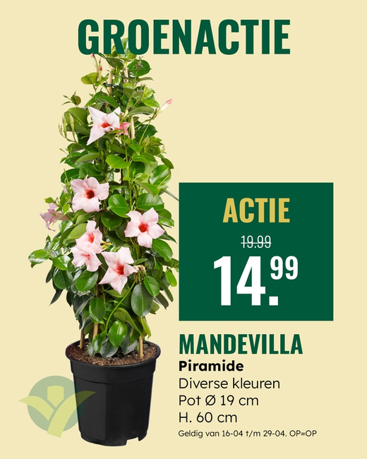 Groenactie: Mandeville