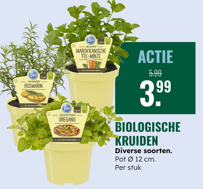 Weekaanbieding: Biologische kruiden