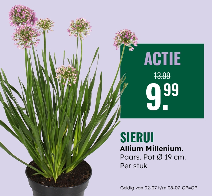 Weekaanbieding: Sierui