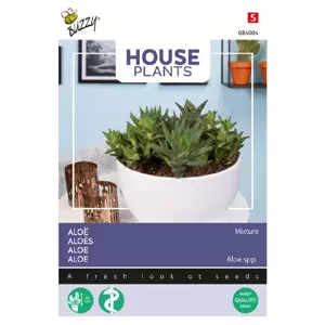 Aloe gemengde soorten - afbeelding 2
