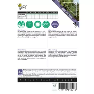 Aloe gemengde soorten - afbeelding 2