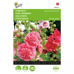 Althaea alcea rosea summer c. 0.5g