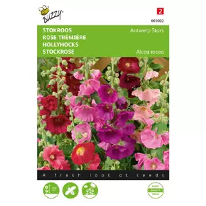 Althaea antwerp stars mix 0.5g - afbeelding 1