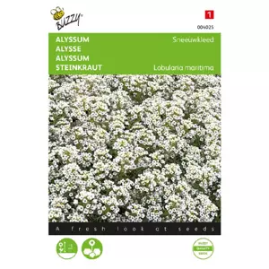 Alyssum sneeuwkleed wit 0.5g