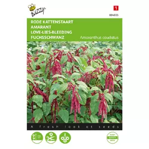 Amaranthus rode bloemtros 1g