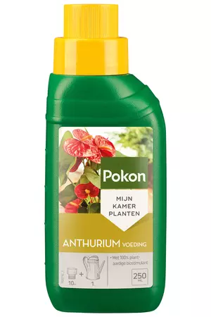 Anthurium voeding 250ml - afbeelding 1