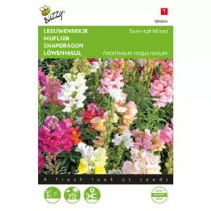 Antirrhinum majus nanum 0.5g