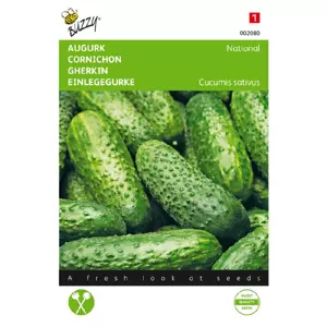 Augurk national klein groen 2.5g