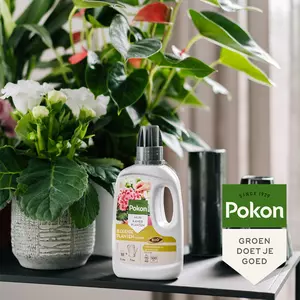 Bio bloeiende planten 500ml - afbeelding 4