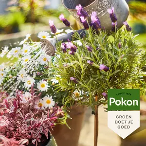 Bio terras&balkon voeding 500ml - afbeelding 4