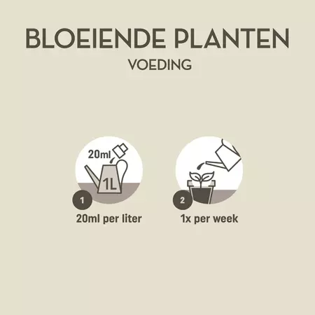 Bloeiende planten 250ml - afbeelding 3