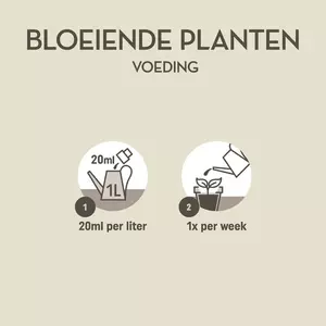 Bloeiende planten 250ml - afbeelding 3