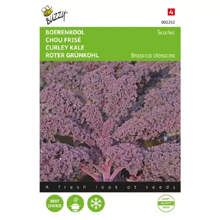 Boerenkool scarlet paars 2g - afbeelding 1