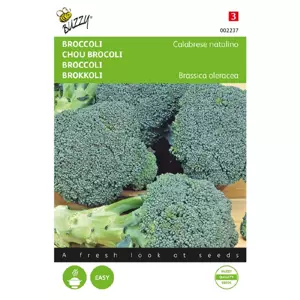 Broccoli groen calabrese 2g