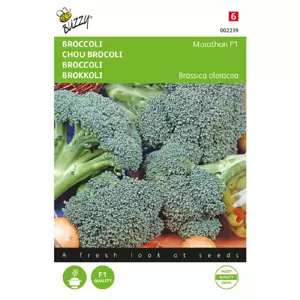 Broccoli southern c. f1 75zd
