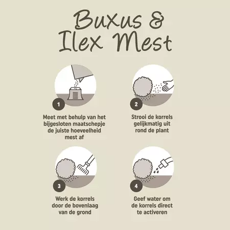 Buxus&ilexmest 1kg - afbeelding 3