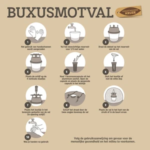 Buxusmotval - afbeelding 3