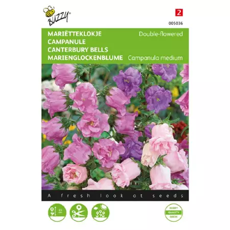 Campanula medium dubbelbloemig 0.5g - afbeelding 1