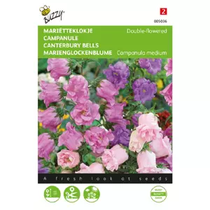 Campanula medium dubbelbloemig 0.5g - afbeelding 1