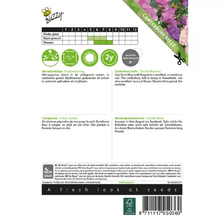 Campanula medium dubbelbloemig 0.5g - afbeelding 2