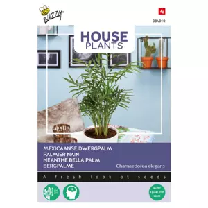 Chamaedorea minipalm 15zd - afbeelding 2