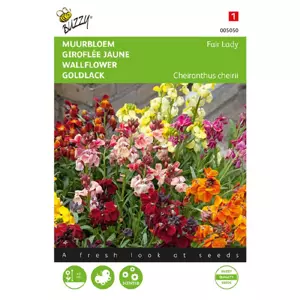 Cheiranthus cheirii fair lady 1.5g - afbeelding 2