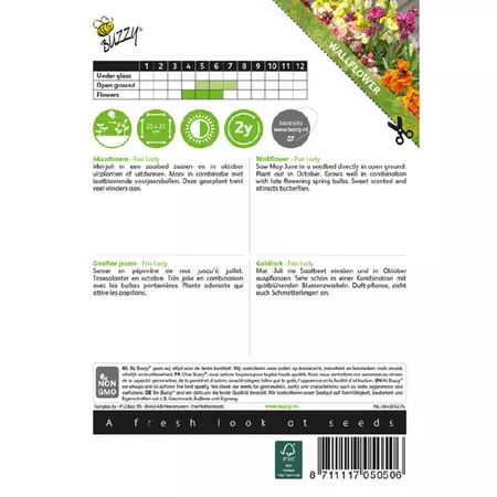 Cheiranthus cheirii fair lady 1.5g - afbeelding 2