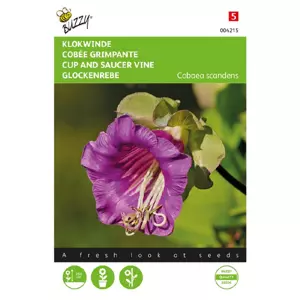 Cobaea scandens violetblauw 1g