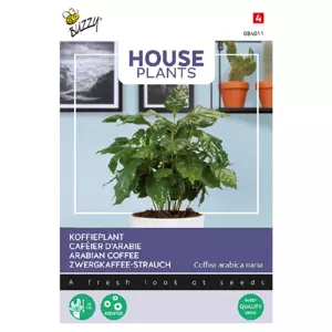 Coffea arabica koffieplant - afbeelding 1