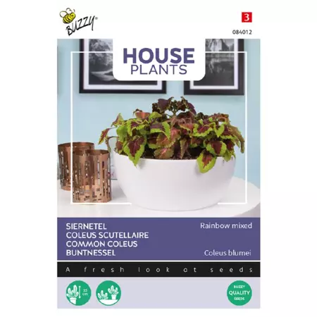 Coleus blumei regenboogmix 0.25g - afbeelding 1