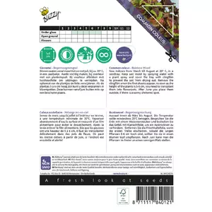 Coleus blumei regenboogmix 0.25g - afbeelding 2