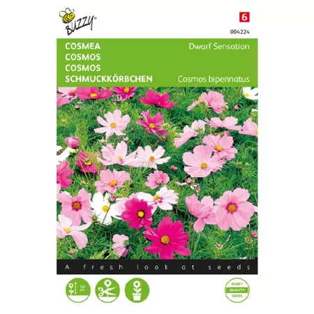 Cosmea sonate mix 0.6g