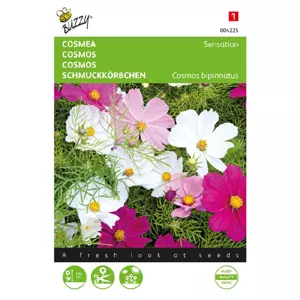 Cosmos sensation mix 1g