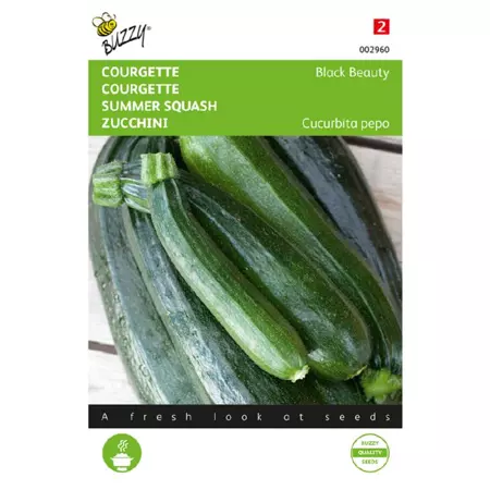 Courgette black beauty 5g