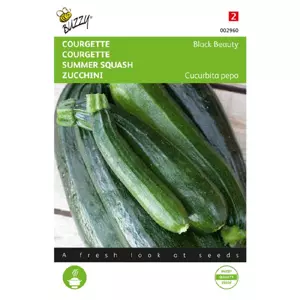 Courgette black beauty 5g