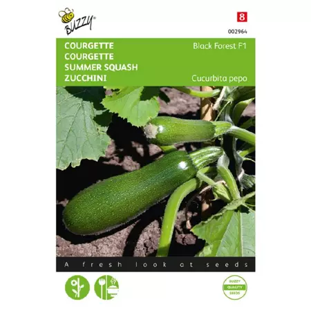 Courgette black forest f1 6zdn - afbeelding 1