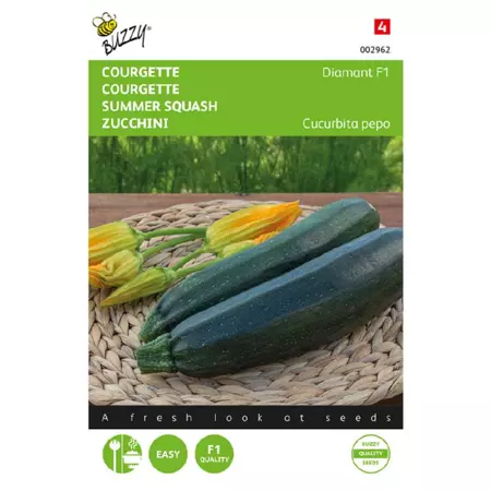 Courgette zucchini diamont f1 2g