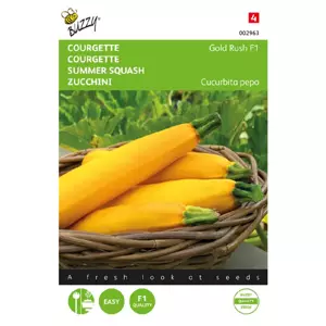 Courgette zucchini gold rush f1 2g
