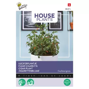 Cuphea luciferplantje 0.1g - afbeelding 2