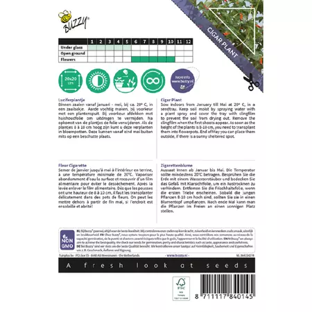 Cuphea luciferplantje 0.1g - afbeelding 2