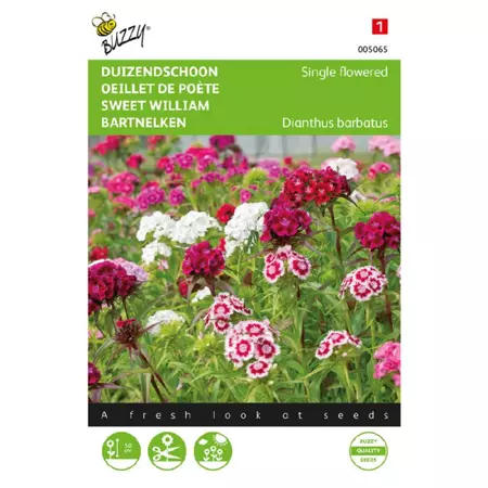 Dianthus barbatus enkelbloemig 1g