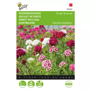 Dianthus barbatus enkelbloemig 1g