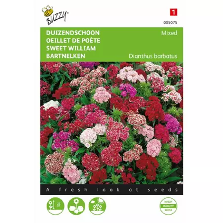 Dianthus barbatus nanus comp. 0.5g - afbeelding 1