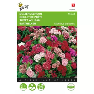 Dianthus barbatus nanus comp. 0.5g - afbeelding 1