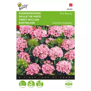 Dianthus barbatus pink 0.75g - afbeelding 1