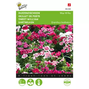Dianthus barbatus wee willie 0.5g