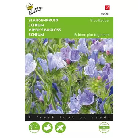 Echium plantagineum blue bedder 1g