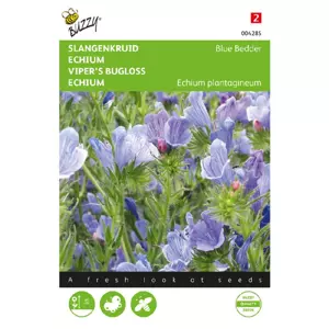 Echium plantagineum blue bedder 1g
