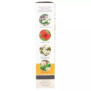 Flower mix bermenmengsel 15m2 - afbeelding 3