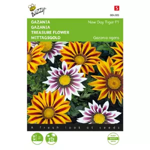 Gazania tiger mixture 15zdn - afbeelding 1